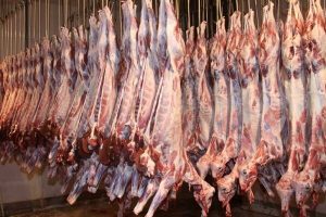 انتقاد دامداران از قصاب ها و فروشنده های گوشت
