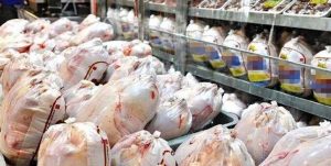 افزایش مجدد ۵ تا ۷ درصدی قیمت مرغ