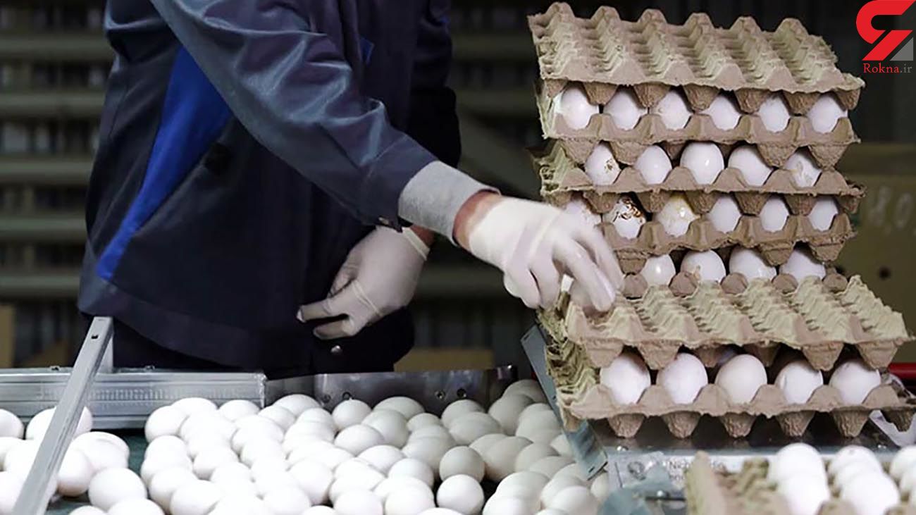 گوی سبقت ترکیه از ایران در صادرات تخم مرغ