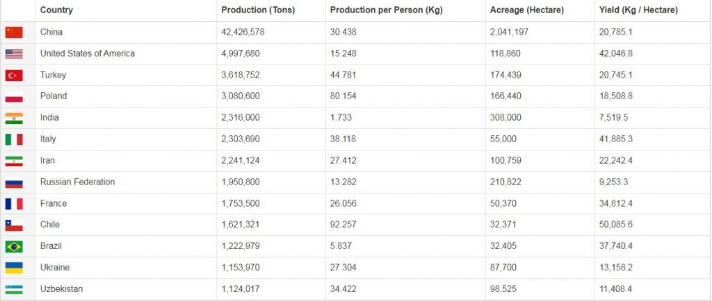 عمده ترین تولیدکنندگان سیب در جهان