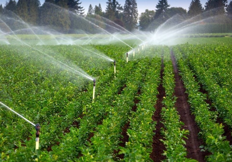 ۵ استان پر مصرف آب در حوزه کشاورزی+نمودار