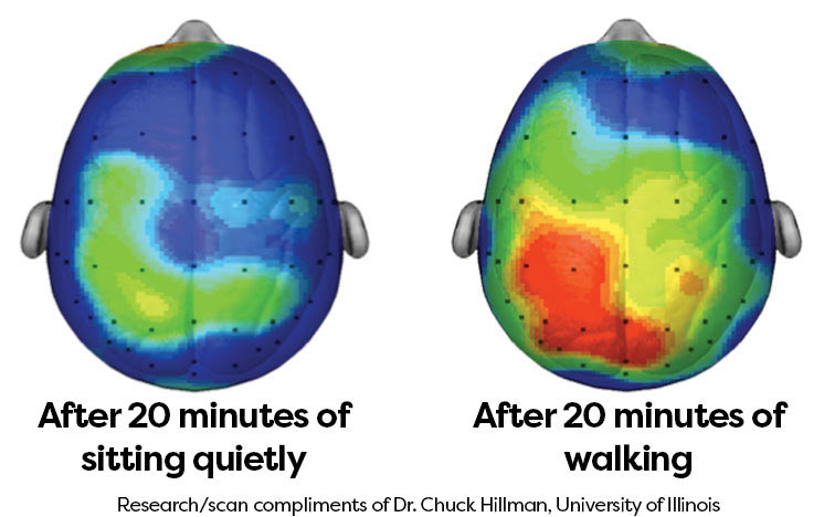 تأثیر شگفت‌انگیز ۲۰ دقیقه پیاده‌روی بر عملکرد شناختی و مغز کودکان