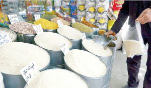 قیمت انواع برنج در میادین میوه و تربار چند؟