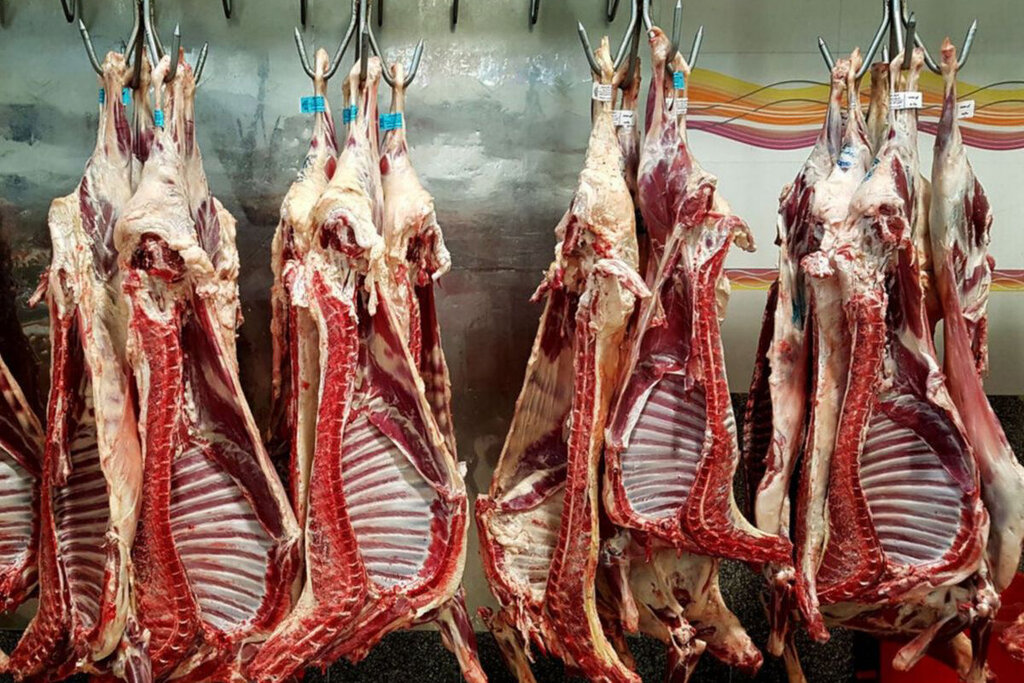 التهاب در بازار گوشت؛ قیمت ها افزایشی است یا کاهشی؟