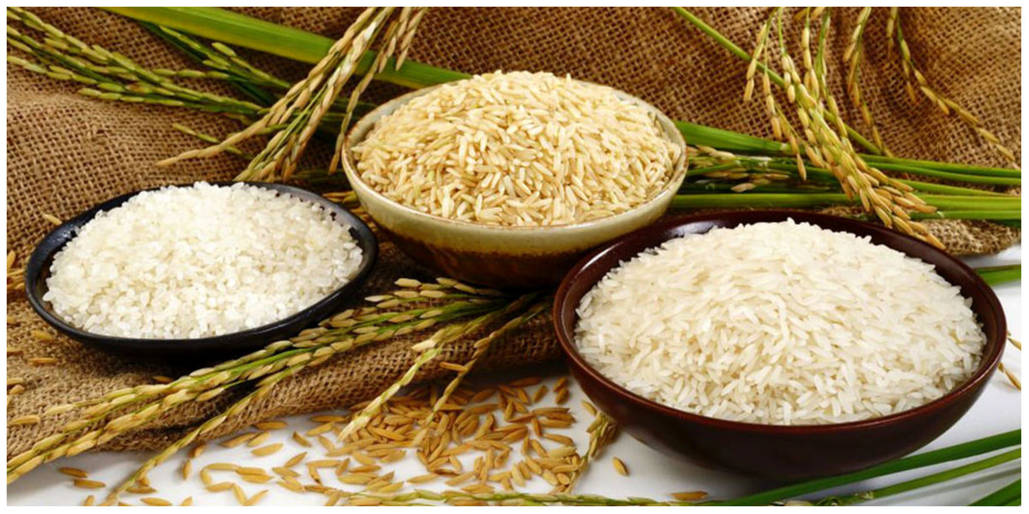برنج ایرانی و خارجی چند؟ + آخرین جزئیات و لیست قیمت ها