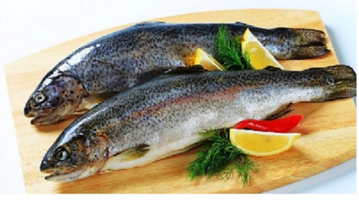 قیمت انواع ماهی در بازار چند؟+ جدول