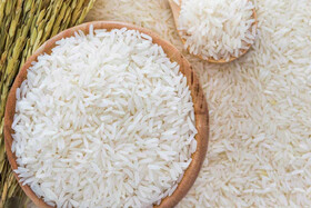 لیست قیمت جدید انواع برنج/ ۱ فرودین ۱۴۰۲