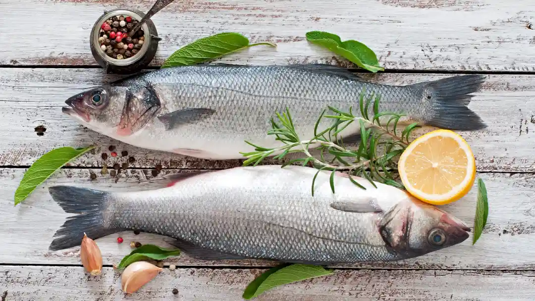 حذف ماهی قزل آلا از سفره مردم و رشد صادرات آن