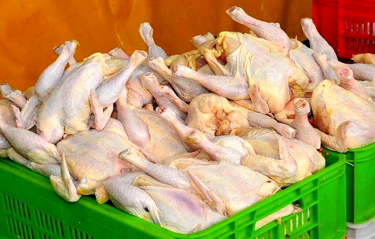 آخرین تغییرات قیمت مرغ امروز شنبه ۲۷ ایفند