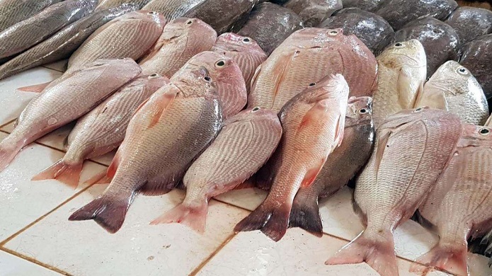 جدیدترین قیمت انواع ماهی در بازار/ قزل آلا چند؟ + جدول قیمت ها