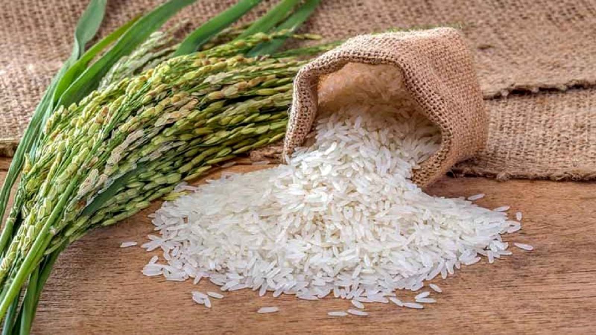 جدیدترین قیمت برنج هاشمی ایرانی در بازار+ جدول