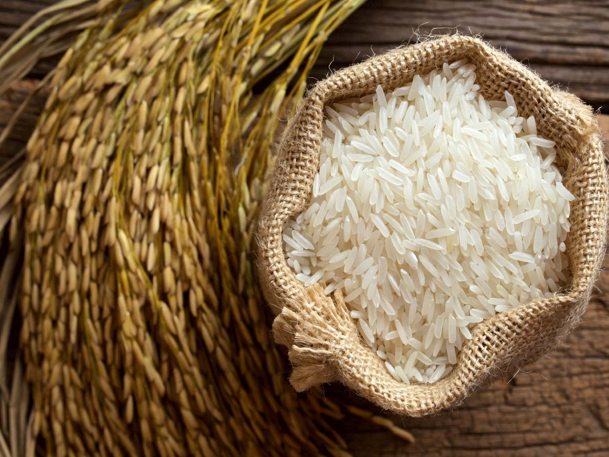 پیش بینی قیمت برنج تا شهریور؛ قیمت کاهش می یابد؟
