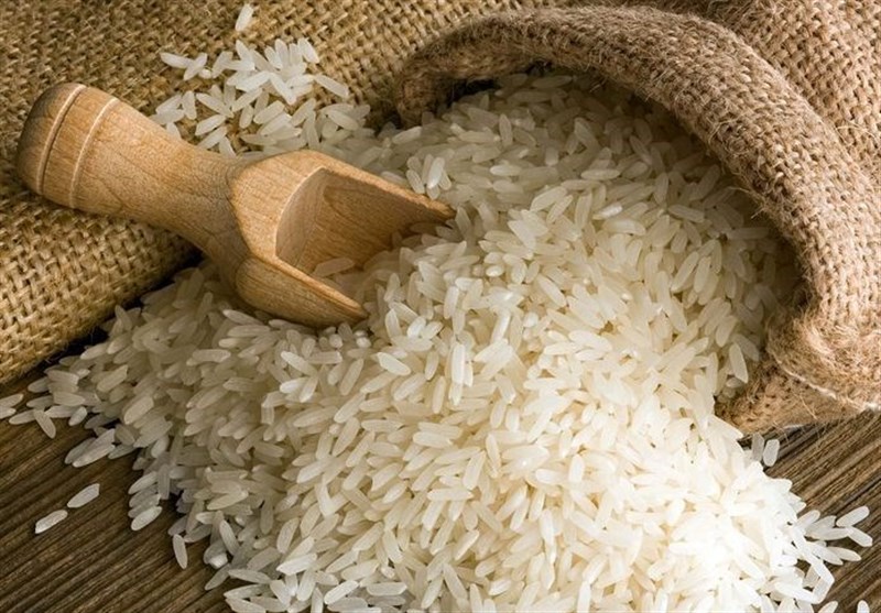 چرا برنج شمال در آستانه نابودی است؟