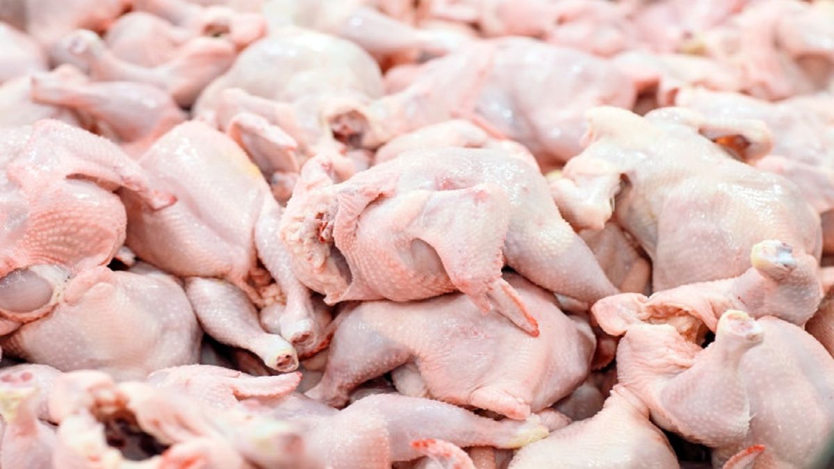 جدیدترین قیمت انواع گوشت مرغ بسته بندی در بازار