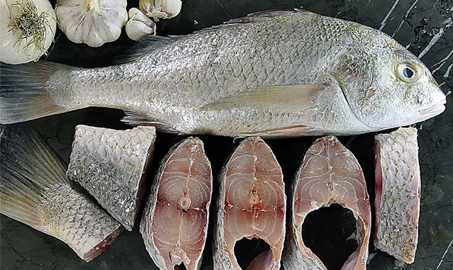 جدیدترین قیمت انواع ماهی در بازار ۲۴ خرداد ۱۴۰۲