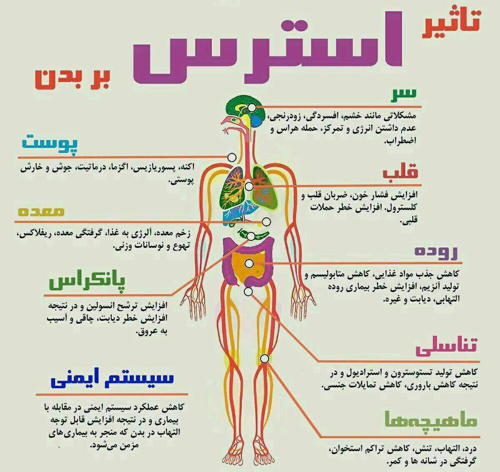 بلاهای ترسناک که استرس بر سر بدن می آورد+ اینفوگرافیک