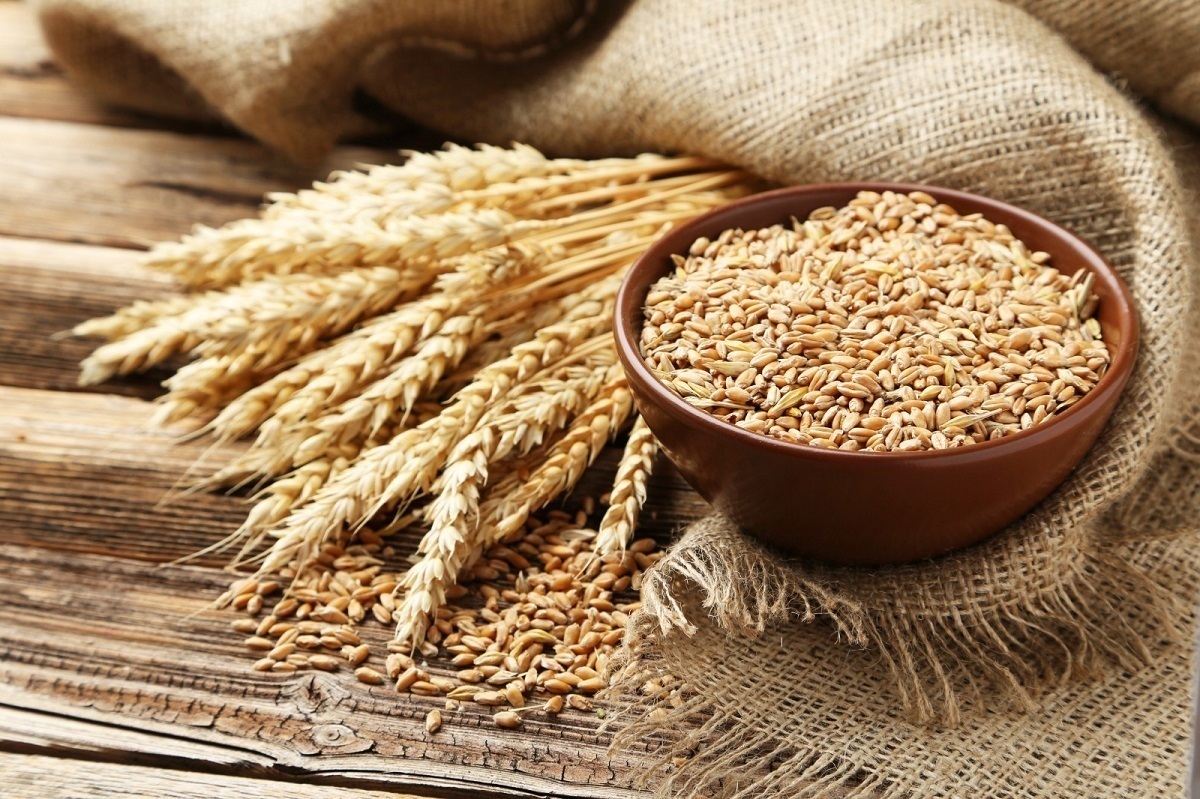 هفته آینده قیمت گندم تعیین تکلیف می شود؟