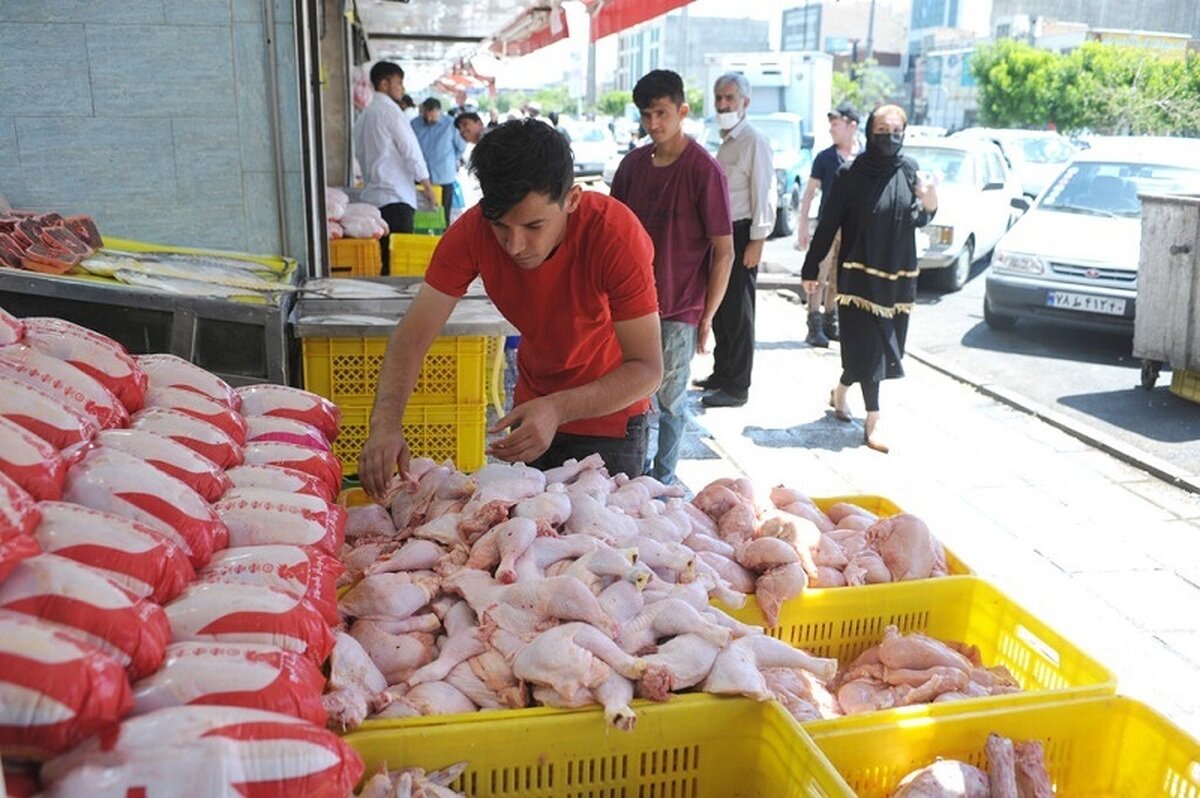 جدیدترین قیمت انواع مرغ در ۳ تیر ۱۴۰۲