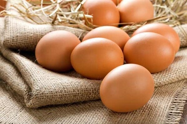 جدیدترین قیمت تخم مرغ بسته ۱۵ عددی+ جدول