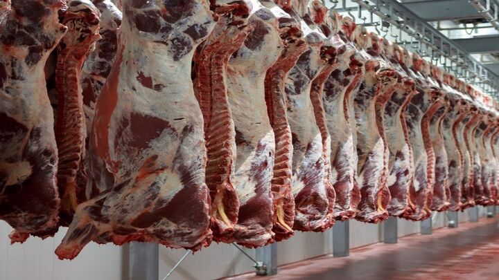 مقایسه قیمت گوشت در ایران و جهان/ مردم چند کشور پول کمتری از ایرانی ها برای خرید گوشت می دهند؟
