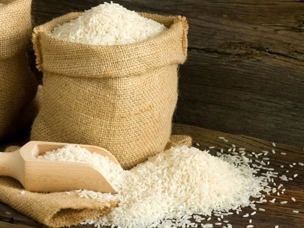 چرا دولت از زیان های ممنوع کردن واردات برنج عبرت نمی گیرد؟