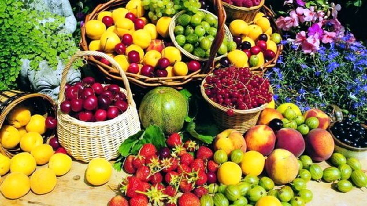 جدیدترین قیمت میوه و تره بار در بازار +جدول