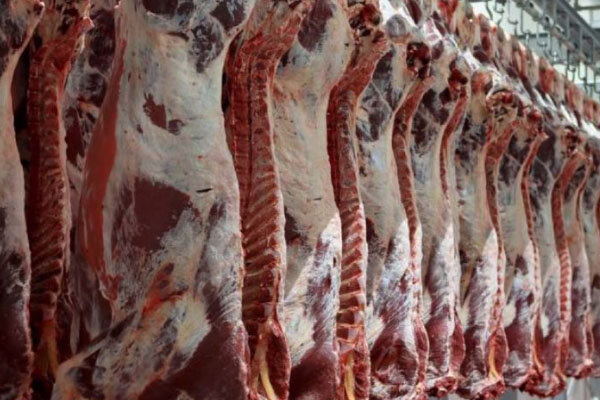 چرا قیمت گوشت ترمز بریده است؟/ چرا نظارتی وجود ندارد؟