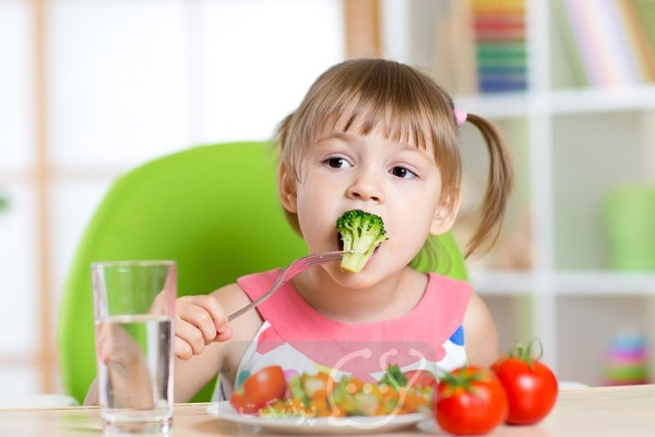کدام مواد غذایی منجر به عملکرد مغزی مناسب کودکان می شود؟