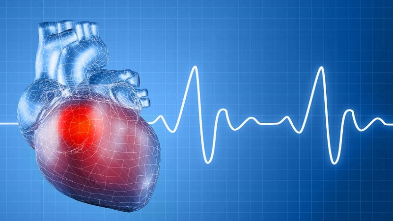 چگونه تپش قلب را کنترل و کاهش دهیم؟+ چند راهکار طلایی