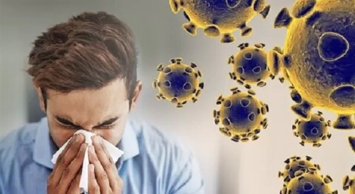 یک کشف بزرگ توسط دانشمندان؛ چرا «بینی» عامل اصلی سرماخوردگی و آنفلوآنزا است؟