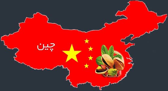 وقتی چین بازار پسته ایران را به انحصار درآورده است/ چین هم فروشنده و هم خریدار پسته ایران!