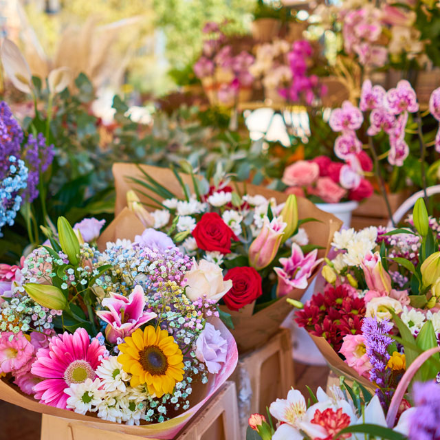 فروش انواع گل و گیاه در فضای مجازی غیرقانونی اعلام شد
