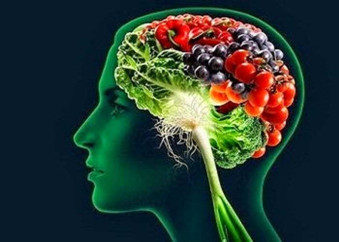 نتایج یک تحقیق جدید؛ بین میزان چربی بدن و کاهش حجم مغز چه ارتباطی وجود دارد؟
