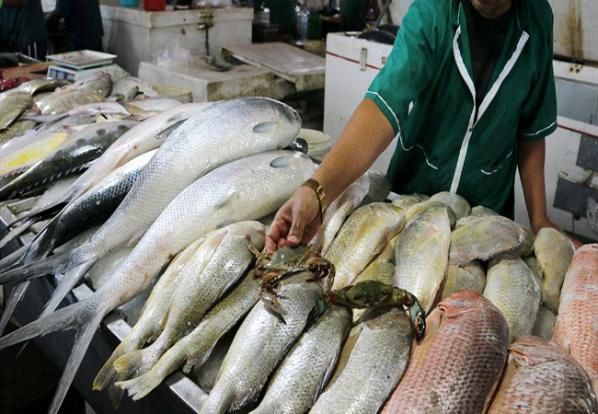 جدیدترین قیمت انواع ماهی در بازار + جدول
