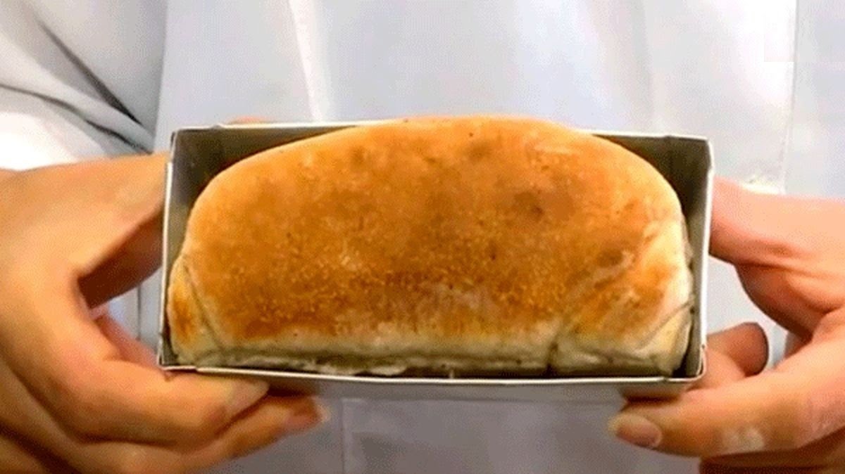 نانی که از سوسک درست می شود و سرشار از پروتئین است+ عکس