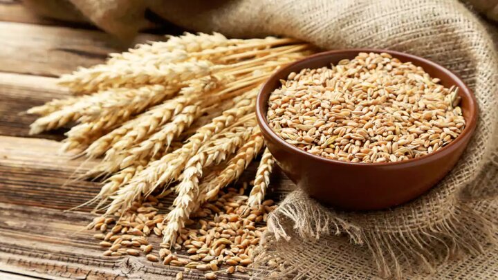 جدیدترین قیمت گندم در بازار اعلام شد