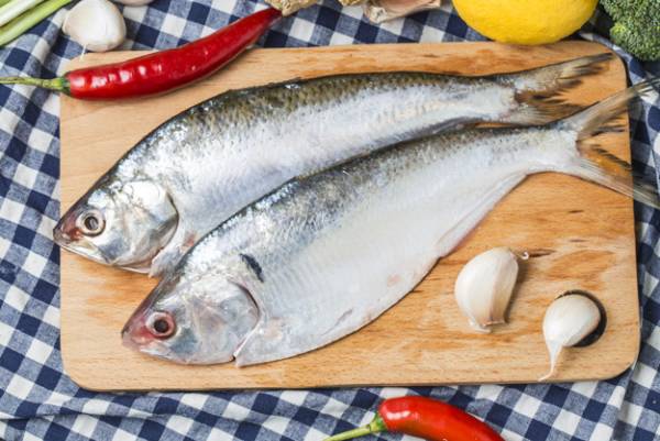 جدیدترین قیمت انواع ماهی در بازار+ جدول قیمت