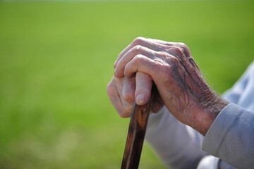 گزارش جدید هفته‌نامه تایم برای کاهش سرعت پیری مغز با کمک مولتی ویتامین ها