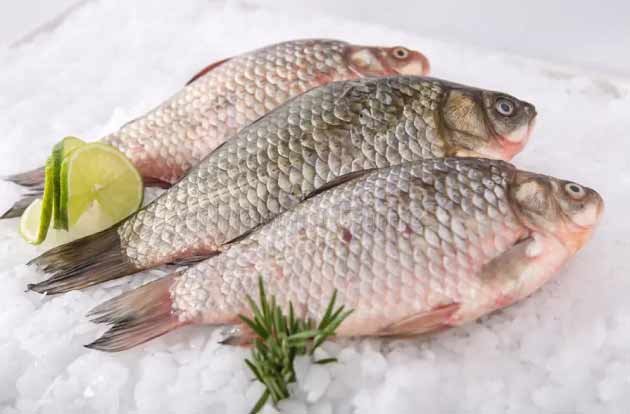 جدیدترین قیمت انواع ماهی در بازار+ جدول قیمت