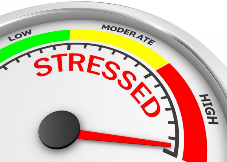 آشنایی با پر استرس و کم استرس ترین مشاغل دنیا/ چه عواملی یک شغل را پر استرس می کند؟
