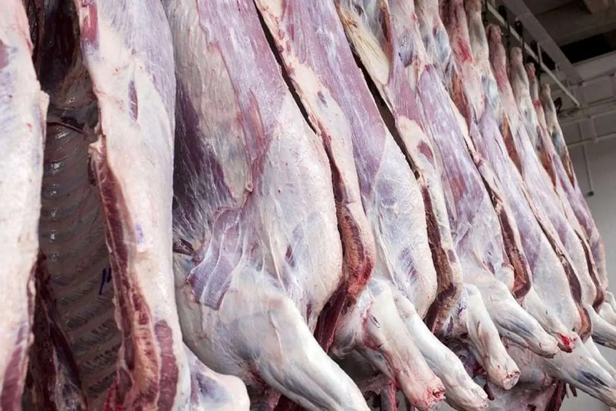 قیمت مصوب گوشت‌ منجمد و گرم وارداتی اعلام شد