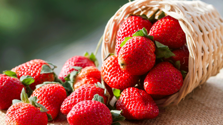 روش های تازه و سالم نگه داشتن توت فرنگی در یخچال و فریزر