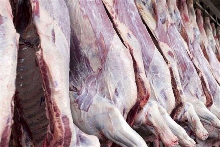 قیمت جدید گوشت قرمز در بازار اعلام شد