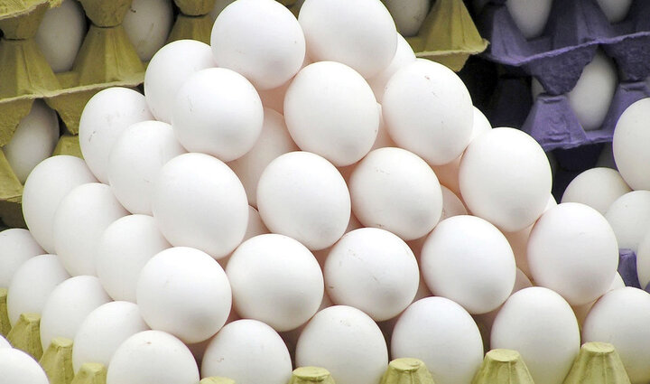 قیمت هر شانه تخم مرغ چند شد؟