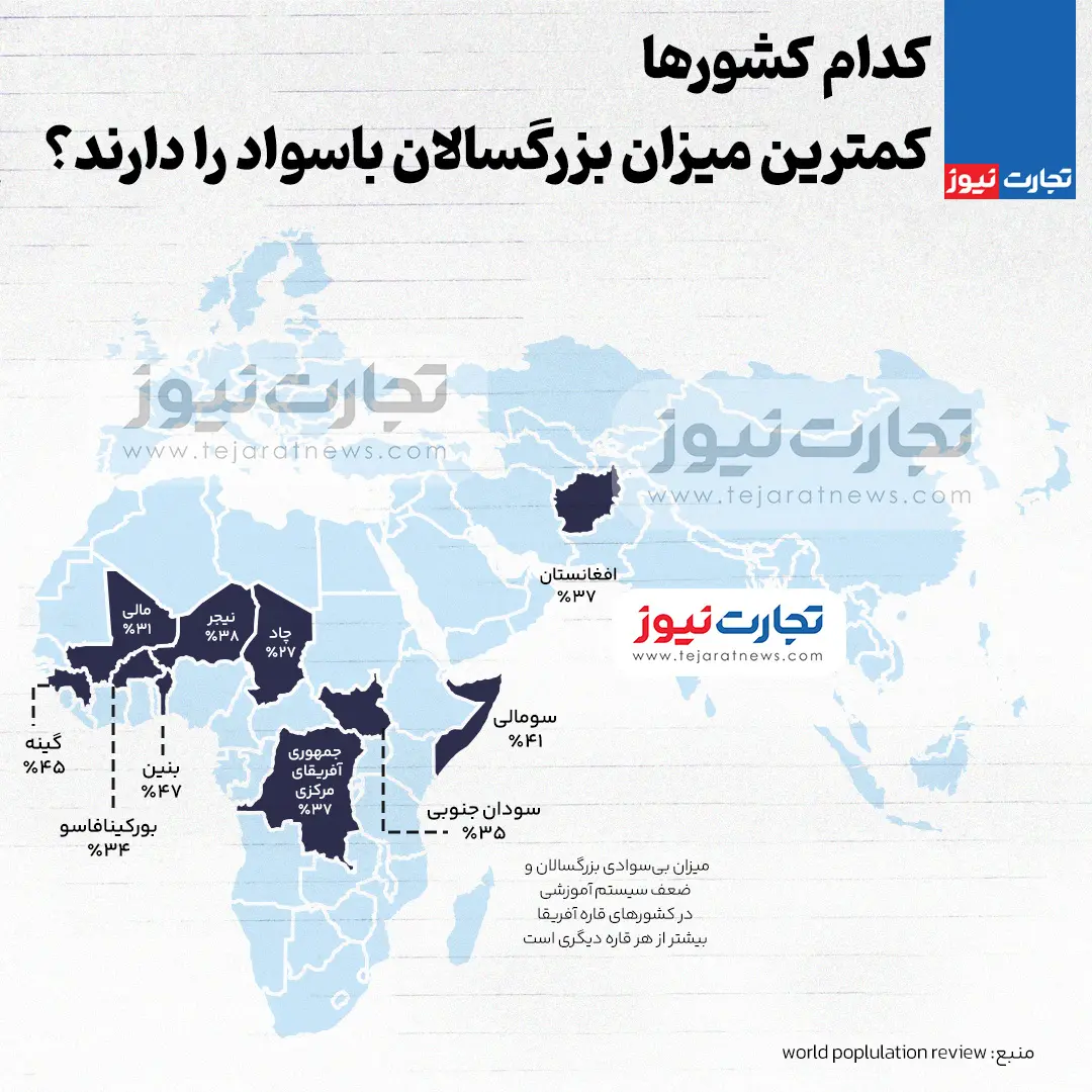 بزرگسالان باسواد