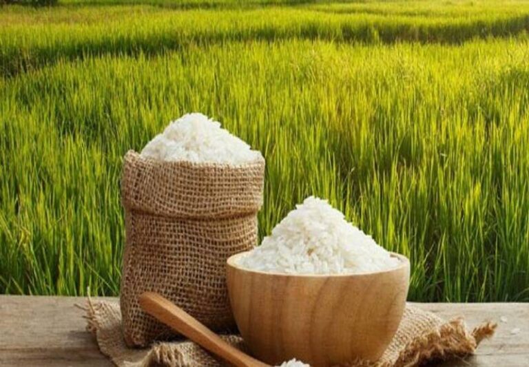 قیمت جدید برنج اعلام شد/ قیمت برنج کاهش یافت