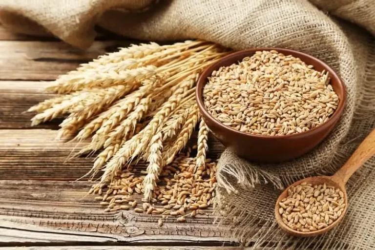 قیمت هر کیلوگرم سبوس گندم اعلام شد