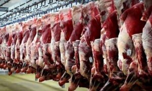 قیمت جدید گوشت قرمز در بازار چند شد؟