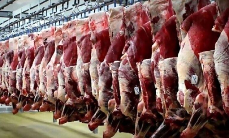 قیمت جدید گوشت قرمز در بازار چند شد؟