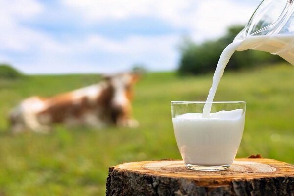 نوشیدن شیر گرم یا شیر سرد؛ کدام بهتر است؟